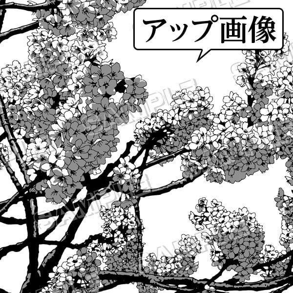 マンガ背景素材 桜 ソメイヨシノ